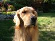 hey, you talkin' about me ? 